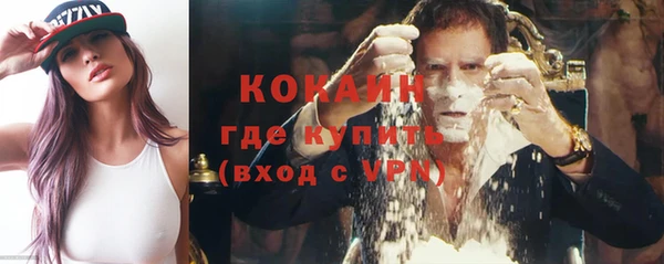 прущие грибы Белокуриха