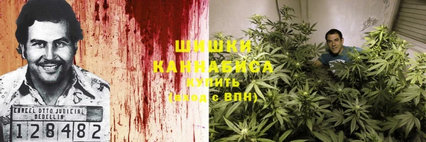 прущие грибы Белокуриха