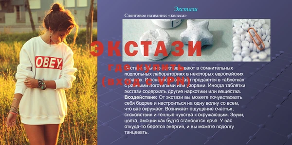 прущие грибы Белокуриха