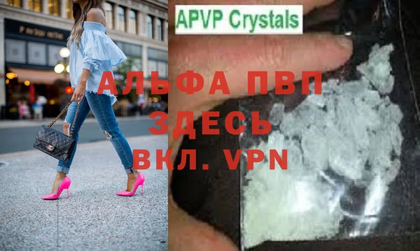 прущие грибы Белокуриха
