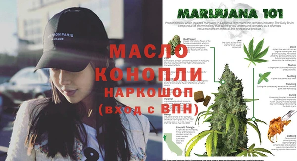 прущие грибы Белокуриха