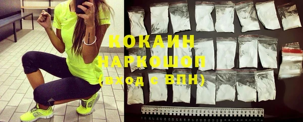 прущие грибы Белокуриха