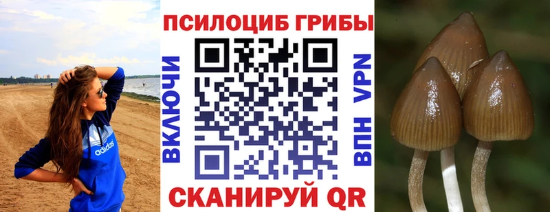 Псилоцибиновые грибы GOLDEN TEACHER наркота Павловск